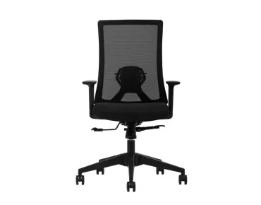 ALBİNA FİLELİ ÇALIŞMA KOLTUĞU