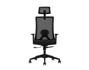 ALBİNA FİLELİ MAKAM KOLTUĞU