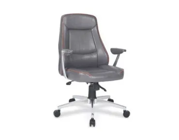 LİVA ÇALIŞMA KOLTUĞU